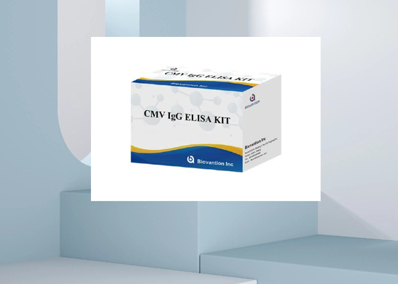 CMV IgG Elisa Test Kits ELISA Diagnostik Kits Cytomegalovirus'a IgG Antibody