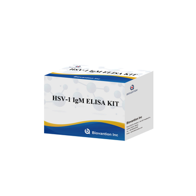 HSV-1 IgM Tıbbi Tanısı Elisa Test Kits 18 Aylık Tavsiye Süresi