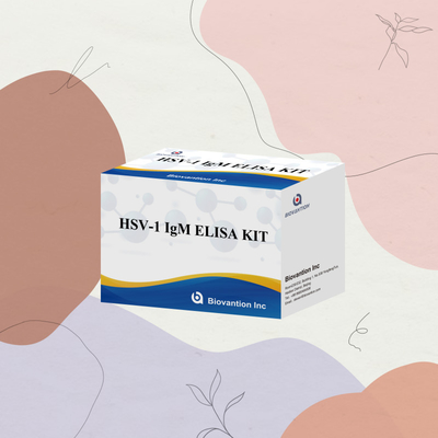 HSV-1 IgM Tıbbi Tanısı Elisa Test Kits 18 Aylık Tavsiye Süresi