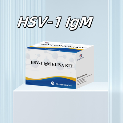 HSV-1 IgM Tıbbi Tanısı Elisa Test Kits 18 Aylık Tavsiye Süresi