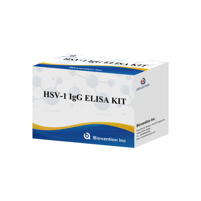 Yüksek Duyarlılıklı HSV-1 IgG Serolojik tespit için Immunoassay Test Kits Plasma Örneği Tipi