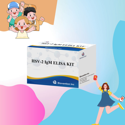 Hızlı ve Kesin Sonuçlar için Yüksek Spesifikiteli Elisa Test Kits HSV-2 IgM İnsan Kullanımı Tıbbi Reagansı