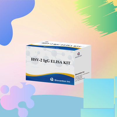 Uluslararası olarak uygulanabilir HSV-2 IgG teşhis reagansı 96 Testler Tıbbi teşhis için ELISA Test Kits