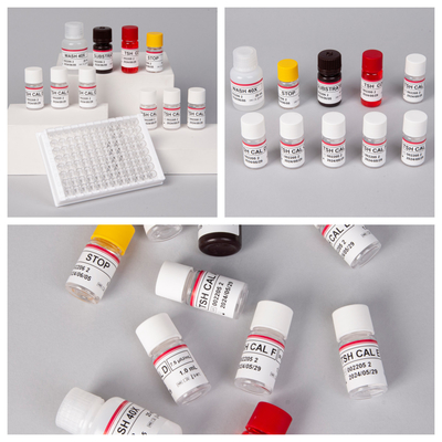 1 Saatlik Spesifik Biovantion IVD Serum Plazma Örneği için Elisa Test Kütesi