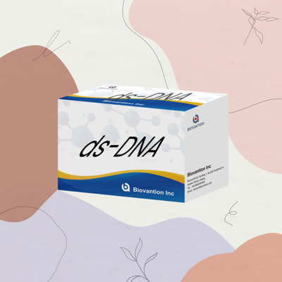 Biovantion ds-DNA Duyarlılığı ELISA Test Kütesi İnsan kullanımına yönelik IVD Rejan