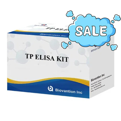 TP (Treponema Pallidum) Ab ELISA Test Kütesi Sifilis SYP Enzim Bağlı Immunosorbant