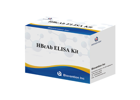 HBcAb ELISA Test Kütesi Assay Antibody Deteksiyon Kütesi Nitelik