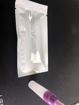 Salmonella IgG/IgM Hızlı Test Kaseti S. Tifoid Kullanımı Kolay Diagnostik Test Kiti