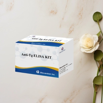 Anti-Tg ELISA Test Kütesi Thyroglobulin Ab In Vitro Nüfussal Belirleme