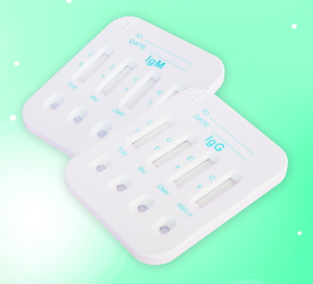 Biovantion HBsAg HCV HIV Sifilis 4 In 1 İnsan testi için Hızlı Test Kartı 96 Test