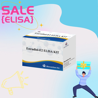 Fabrika fiyatı E2 ELISA Test Kits In Vitro Deteksi Tıbbi Deteksi Yüksek hassasiyet