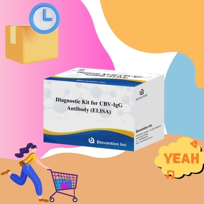 Yüksek spesifik CBV-IgG antikorları, hedef analitilerin doğru tespiti için insan tespiti Elisa Kits