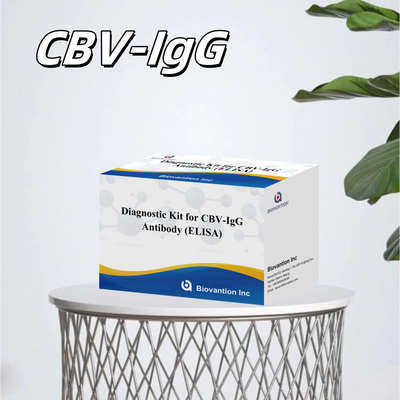 Yüksek spesifik CBV-IgG antikorları, hedef analitilerin doğru tespiti için insan tespiti Elisa Kits