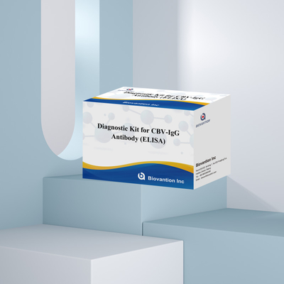 Yüksek spesifik CBV-IgG antikorları, hedef analitilerin doğru tespiti için insan tespiti Elisa Kits
