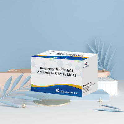 CBV igm ELISA KIT D teşhis reagansı 18 Aylık Kalıcılık Süresi Enzim Bağlı Immunosorbant Test