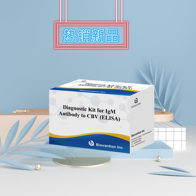 CBV igm ELISA KIT D teşhis reagansı 18 Aylık Kalıcılık Süresi Enzim Bağlı Immunosorbant Test