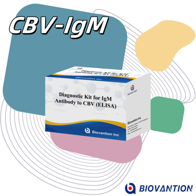 CBV igm ELISA KIT D teşhis reagansı 18 Aylık Kalıcılık Süresi Enzim Bağlı Immunosorbant Test