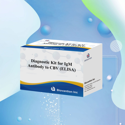 CBV igm ELISA KIT D teşhis reagansı 18 Aylık Kalıcılık Süresi Enzim Bağlı Immunosorbant Test