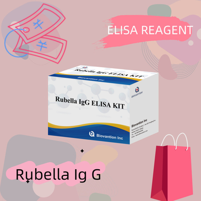 Rubella- Igg Enzim Immunoassay Reagansları Rubella'yı tespit etmek için Elisa Test Kiti