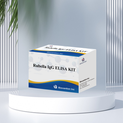 Rubella- Igg Enzim Immunoassay Reagansları Rubella'yı tespit etmek için Elisa Test Kiti