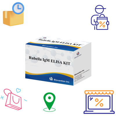 İnsanlarda kullanılan Rubella IgG antikorları için Elisa Rubella IgM tespit aracı