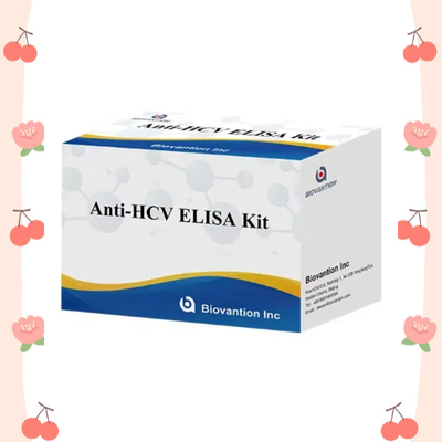 Hepatit C Virüsüne Karşı Anti-HCV Antikorları Enzim Bağlı Taşıma Zamanı Kısa