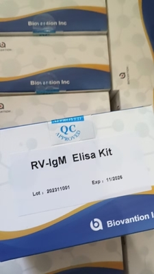 RV-M Duyarlılığı Elisa Hızlı 2-3 saatlik doğru sonuçlar için test süresi
