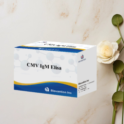 CMV IgM ELISA Kit Yüksek hassasiyet Hamile Kadınlar Önleyici Test
