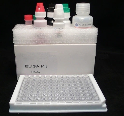 Yüksek Duyarlılıklı HBsAg Tanısı Elisa Test Kiti