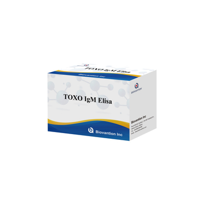 TOXO IgG Duyarlı ve Spesifik Elisa Test Kütesi Hastalık İzleme