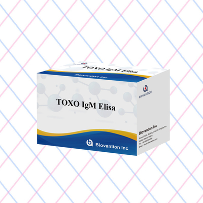 TOXO IgG Duyarlı ve Spesifik Elisa Test Kütesi Hastalık İzleme