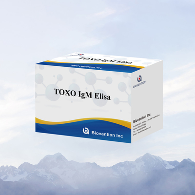 TOXO IgG Duyarlı ve Spesifik Elisa Test Kütesi Hastalık İzleme