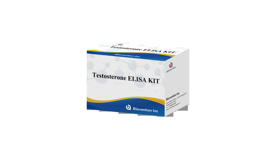 Özgür Testosteron Özgür Tes ELISA Test Kütesi Rekabetçi-ELISA İlke