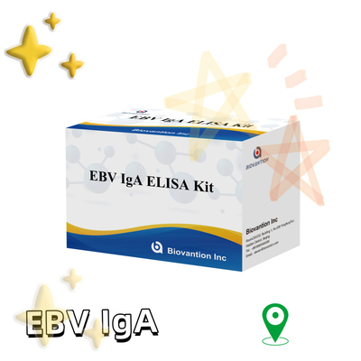 EBV HUMAN ELISA Test Kütesi 2-8°C Hassaslık Diagnostik Kütesi EBV-EA'ya IgA Antikorları için