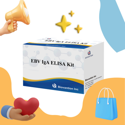 EBV HUMAN ELISA Test Kütesi 2-8°C Hassaslık Diagnostik Kütesi EBV-EA'ya IgA Antikorları için