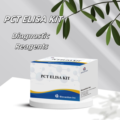 Hastane için 96 testi ile insan algılama rejansı ELISA yöntemi için yüksek doğruluklu PCT