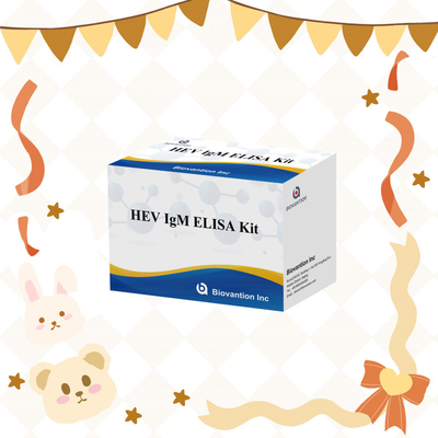 Kesin ve Duyarlı HEV-IgM Elisa Test Kitsini Kesin Bulma ve Analiz İçin