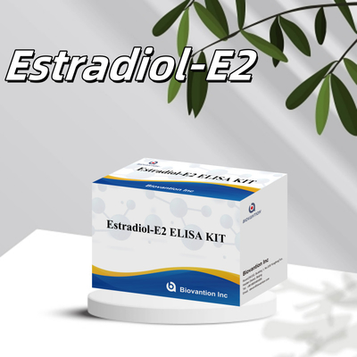 Estradiol ELISA Kit E2 İnsan Kullanımı İçin In Vitro Deteksyon Tıbbi Reaktörler
