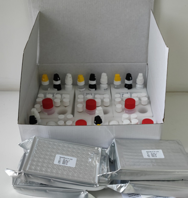 Laboratuvar veya Hastane Yüksek Doğruluklı H.Pylori IgG Elisa Test Kiti