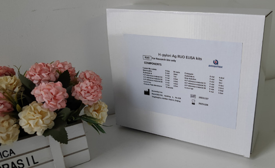 Laboratuvar veya Hastane Yüksek Doğruluklı H.Pylori IgG Elisa Test Kiti
