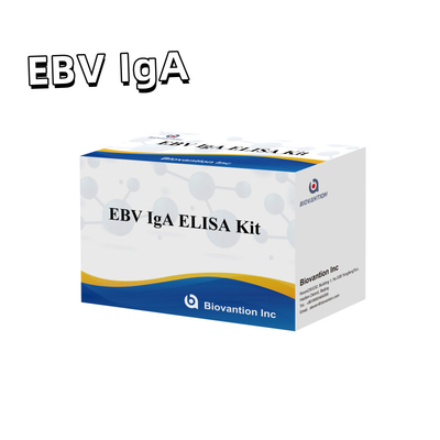 HUMAN EBV-EA TEST KIT 2-8°C IgA Antikorları için duyarlılık kitleri