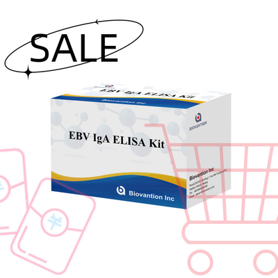 HUMAN EBV-EA TEST KIT 2-8°C IgA Antikorları için duyarlılık kitleri