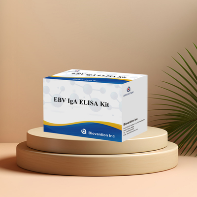 HUMAN EBV-EA TEST KIT 2-8°C IgA Antikorları için duyarlılık kitleri