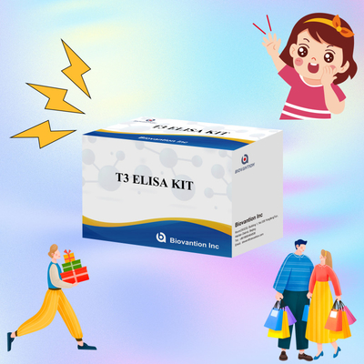 İnsan serumundaki T3'ün kısa test süresi ile nicel tespiti için yüksek hassas ve spesifik Elisa Test Kits'i