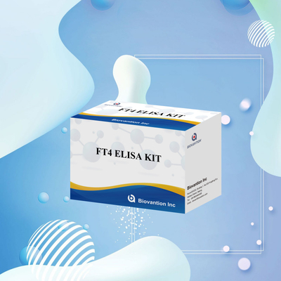 Kvantitatif ve kalitatif analiz için doğru FT4 Elisa Test Kits