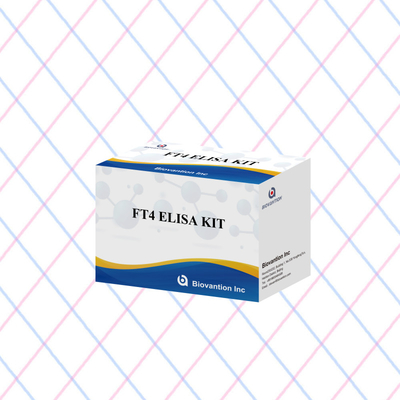 Kvantitatif ve kalitatif analiz için doğru FT4 Elisa Test Kits