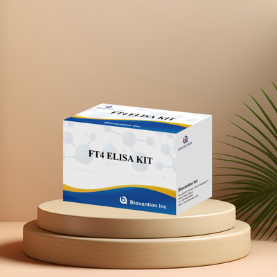 Kvantitatif ve kalitatif analiz için doğru FT4 Elisa Test Kits