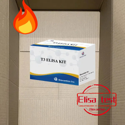 T3 Elisa Test Kiti Laboratuvar Hastanesi Klinik T3 Triyodothyronine
