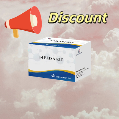 T4 Triyodothyronine Elisa Test Kitsesi Genellikle Kullanılan Tiroid Hormonu Testi