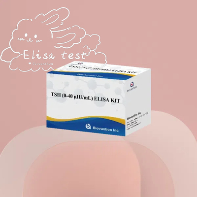 TSH Elisa Reagent Kvantitatif Belirleme Aletleri Serum Tiroid uyarıcı
